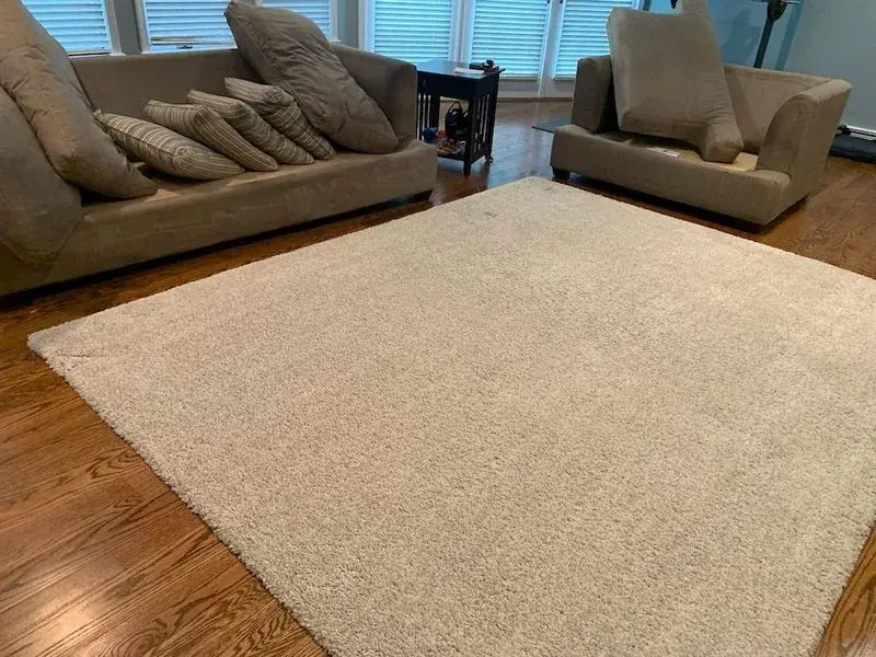 Beige shag area rug in a bright living room