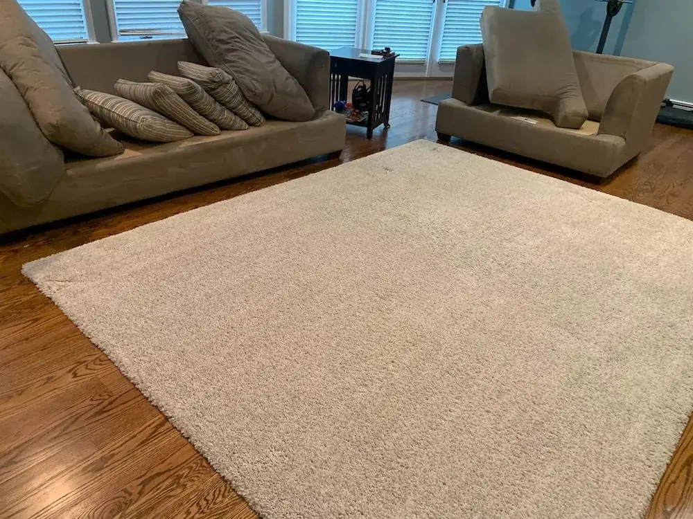 Beige shag rug on hardwood floor, with beige sofa and armchair in background.