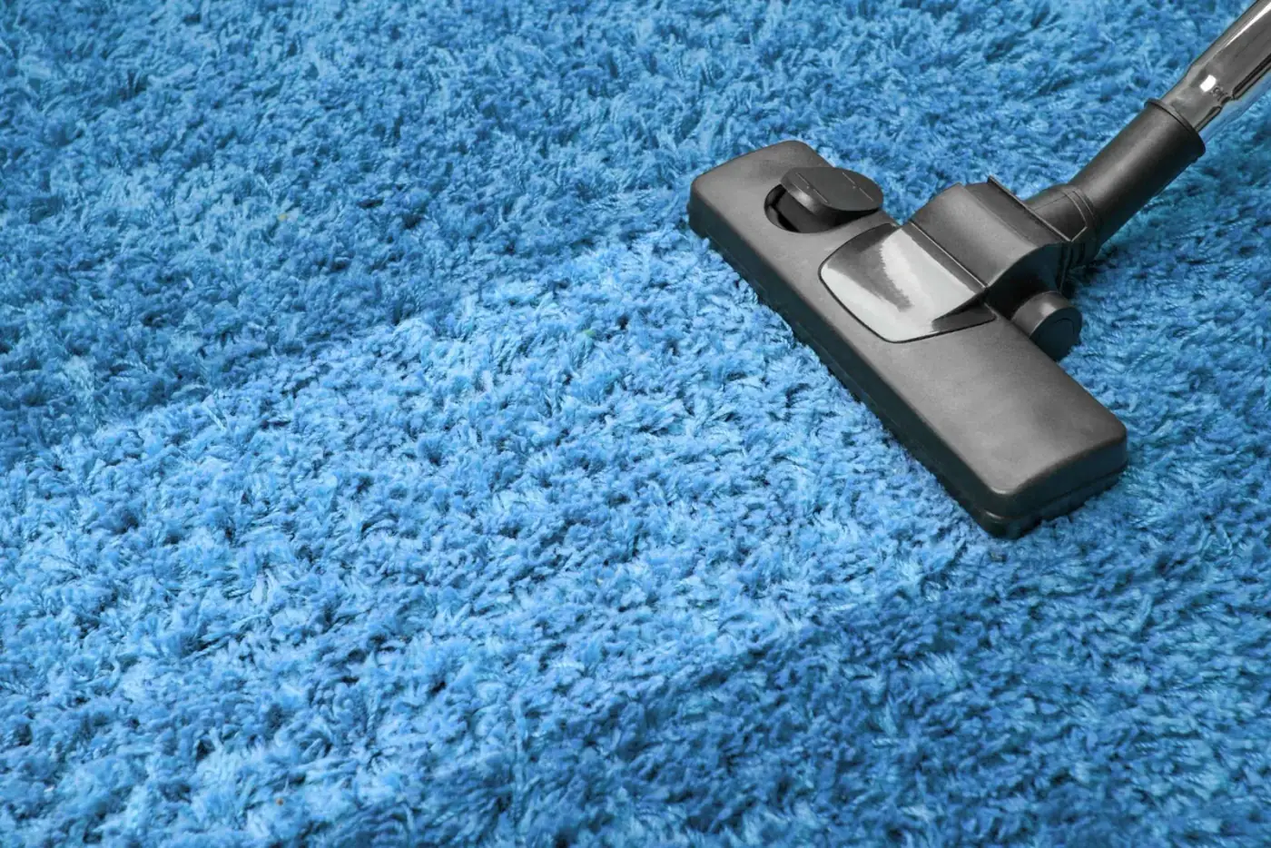 Vacuuming a rug as part of odor removal service in Long Branch